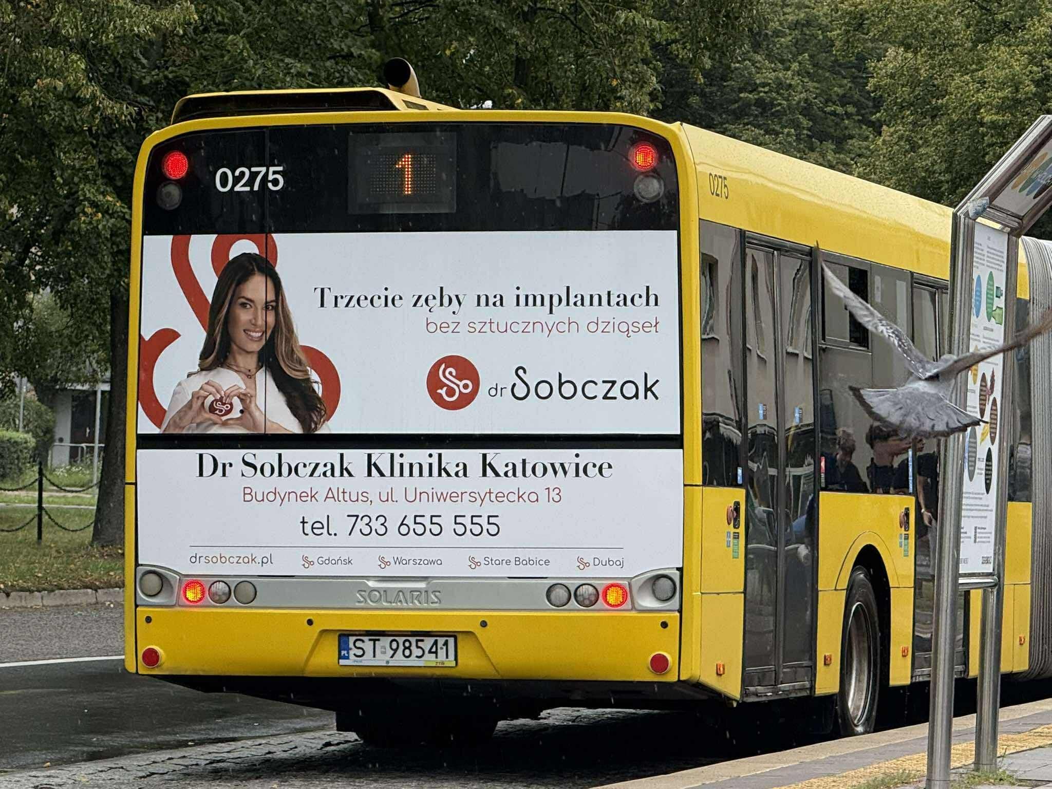 Dr Sobczak